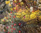 斯坦利 斯宾塞 : Rock Roses - Old Lodge - Taplow